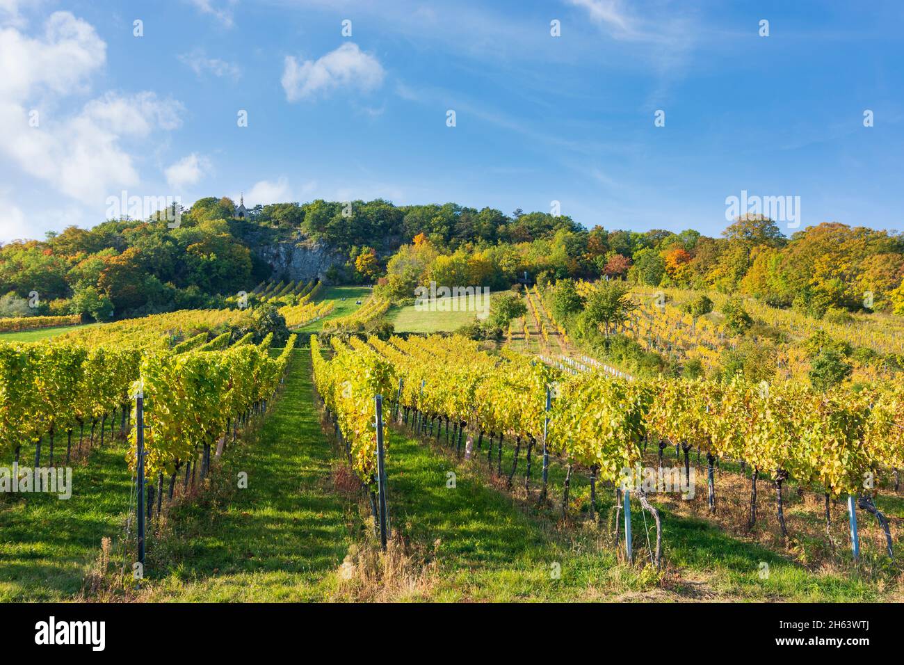 gumpoldskirchen, calvario, vigneto a wienerwald, boschi di vienna, niederösterreich, bassa austria, austria Foto Stock