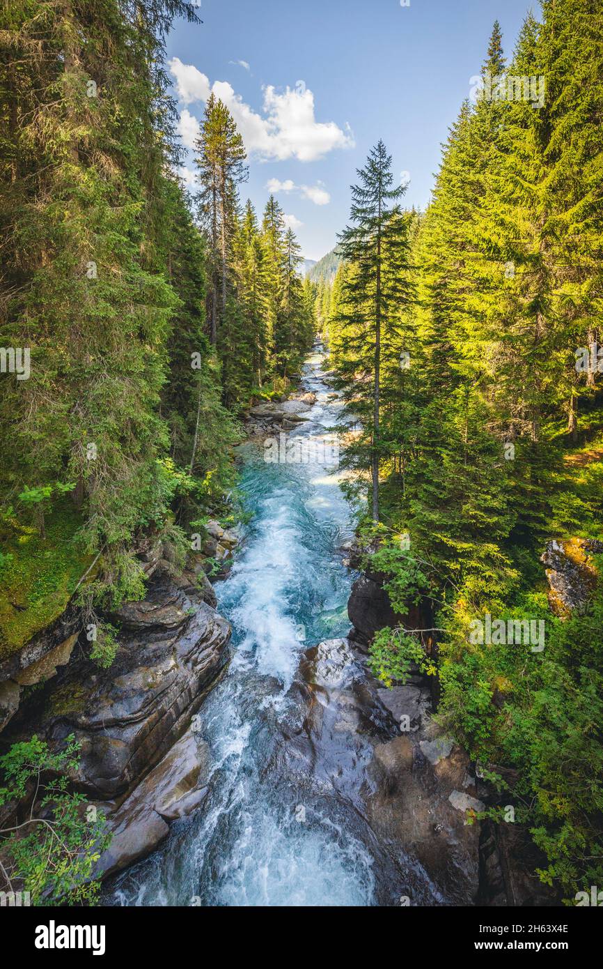 la gola del torrente travignolo attraversa la foresta di paneveggio, il parco naturale di paneveggio pallido di san martino, predazzo, trento, trentino, italia Foto Stock