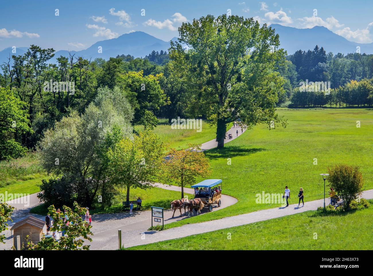 carrozza trainata da cavalli nel parco dell'isola,comune di chiemsee,herreninsel,chiemgau,alta baviera,baviera,germania Foto Stock