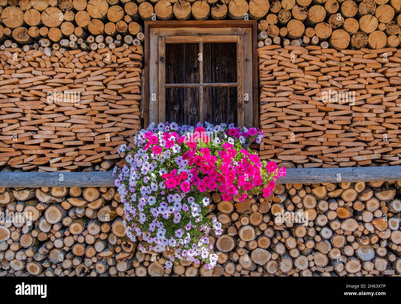 finestra con flower box sul muro della casa con legna da ardere accatastata, ohlstadt, loisachtal, das blaue terra, alta baviera, baviera, germania Foto Stock