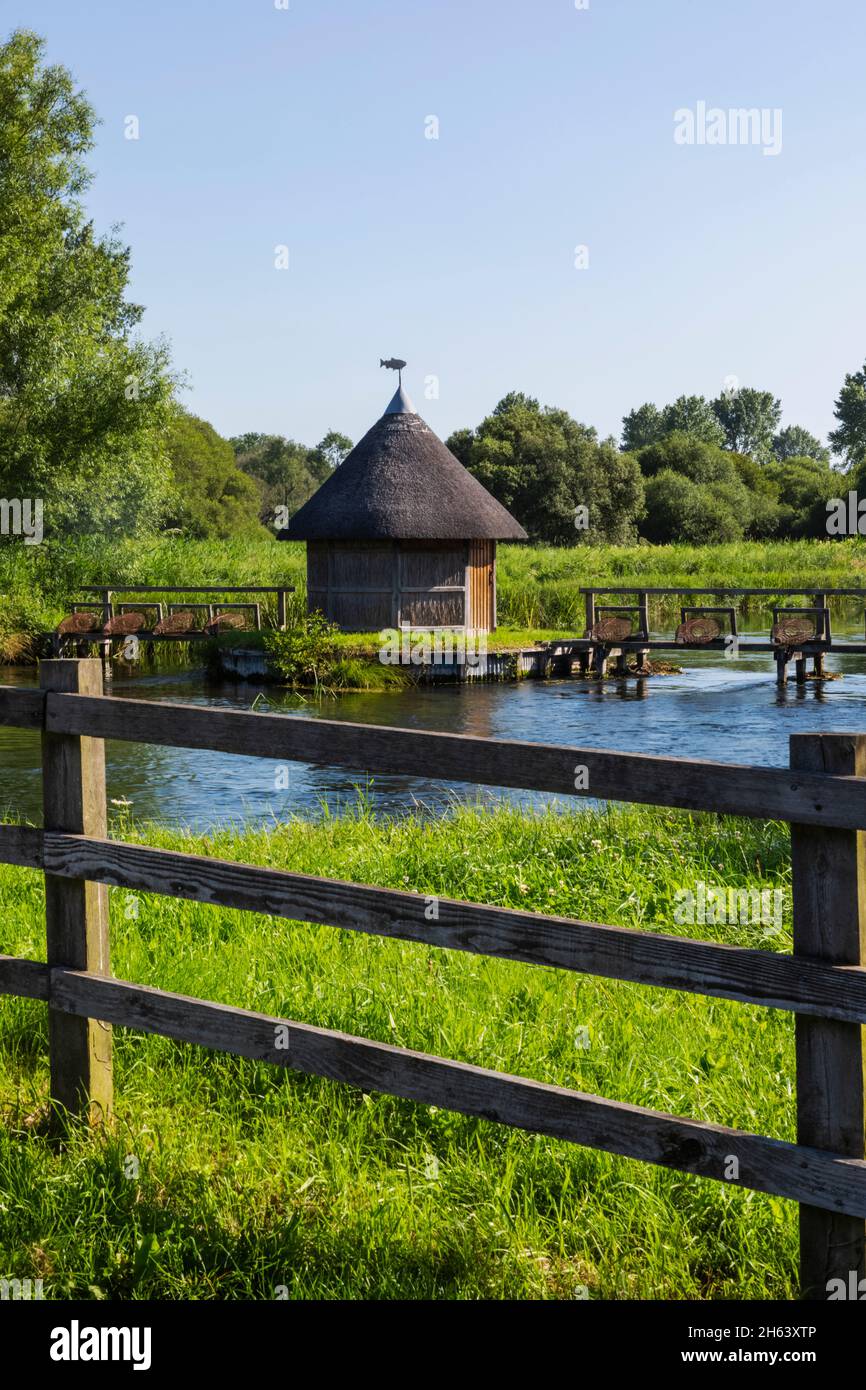 inghilterra,hampshire,test valley,stockbridge,longstock,leckford estate,river test e tradizionale capanna di pescatori con paglia Foto Stock