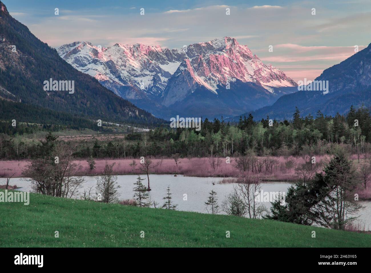 piccolo laghetto nella zona di brughiera sieben quellen contro wetterstein montagne con zugspitze 2962m in serata sole, eschenlohe, das blaue terra, alta baviera, baviera, germania Foto Stock