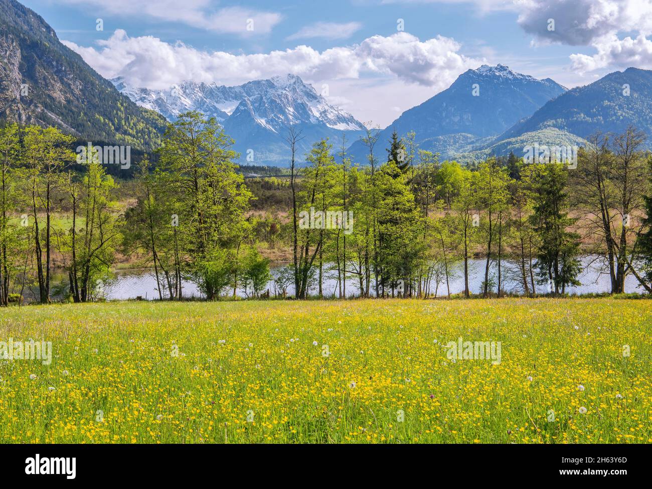 piccolo laghetto nella zona di moro sieben quellen contro wetterstein montagne con zugspitze 2962m e kramerspitz 1985m, eschenlohe, das blaue terra, alta baviera, baviera, germania Foto Stock