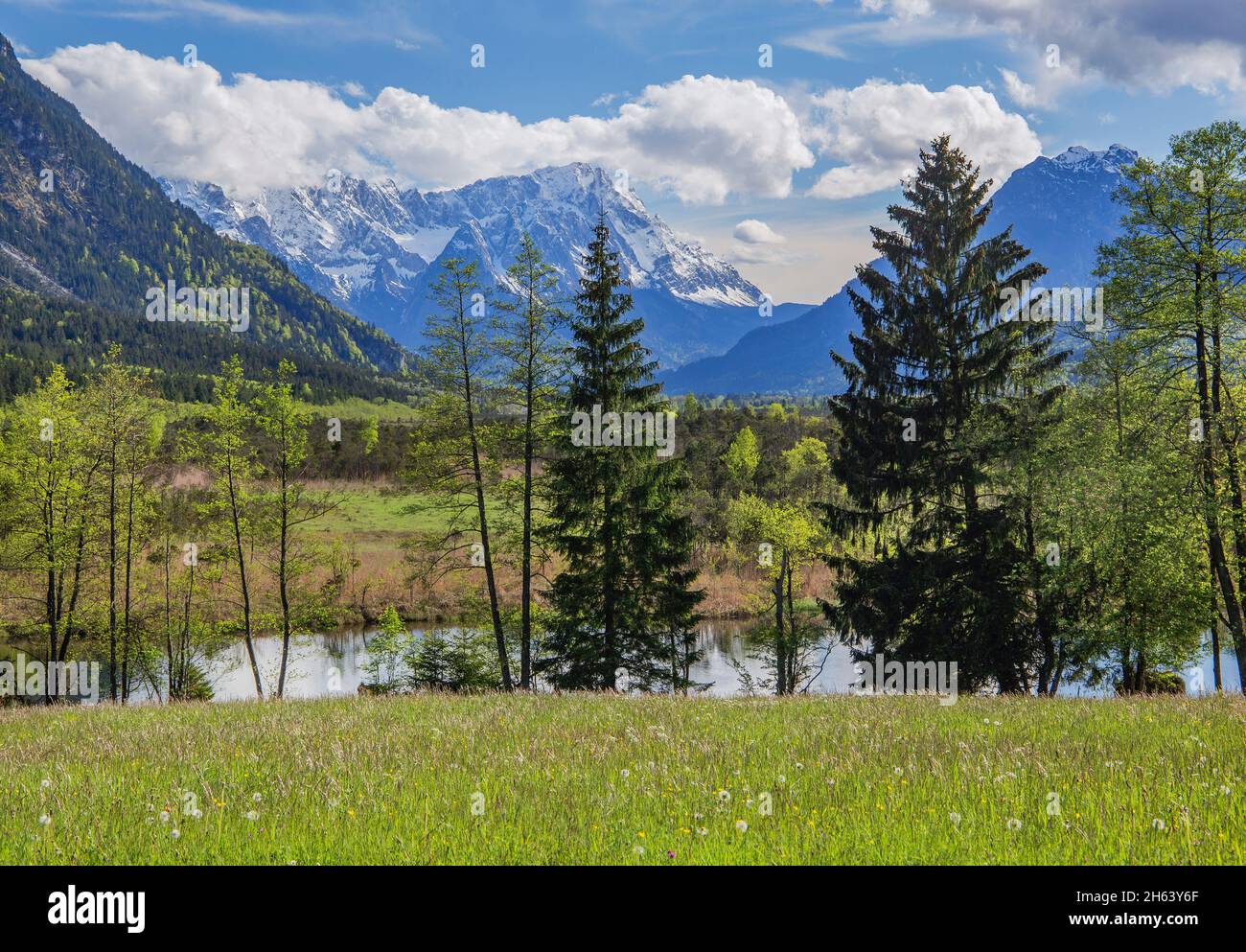 piccolo laghetto nella zona di moro sieben quellen contro wetterstein montagne con zugspitze 2962m e kramerspitz 1985m, eschenlohe, das blaue terra, alta baviera, baviera, germania Foto Stock