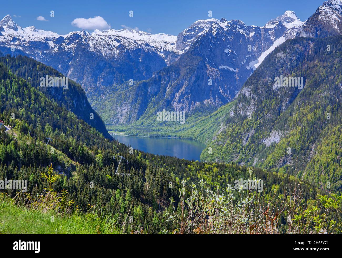 brandkopf punto di vista con koenigssee e steinernem meer, schönau am koenigssee, berchtesgaden alpi, berchtesgadener terra, alta baviera, baviera, germania Foto Stock