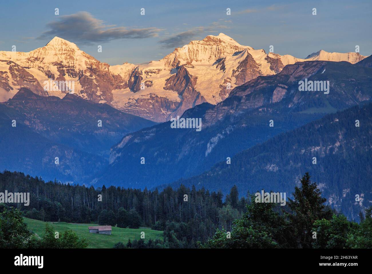 mönch 4107m e jungfrau 4158m al sole della sera, beatenberg, alpi bernesi, oberland bernese, cantone di berna, svizzera Foto Stock