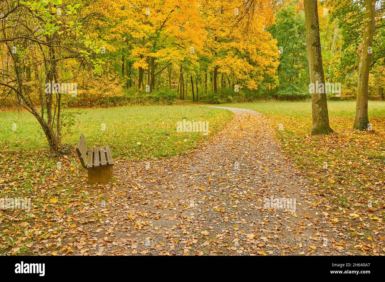 parkweg,bench,autumn,schönbusch,aschaffenburg,baviera,germania Foto Stock