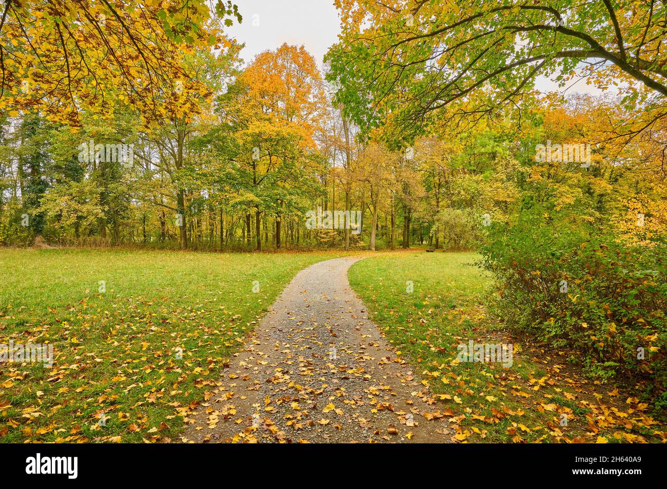 parkweg,autumn,schönbusch,aschaffenburg,baviera,germania Foto Stock