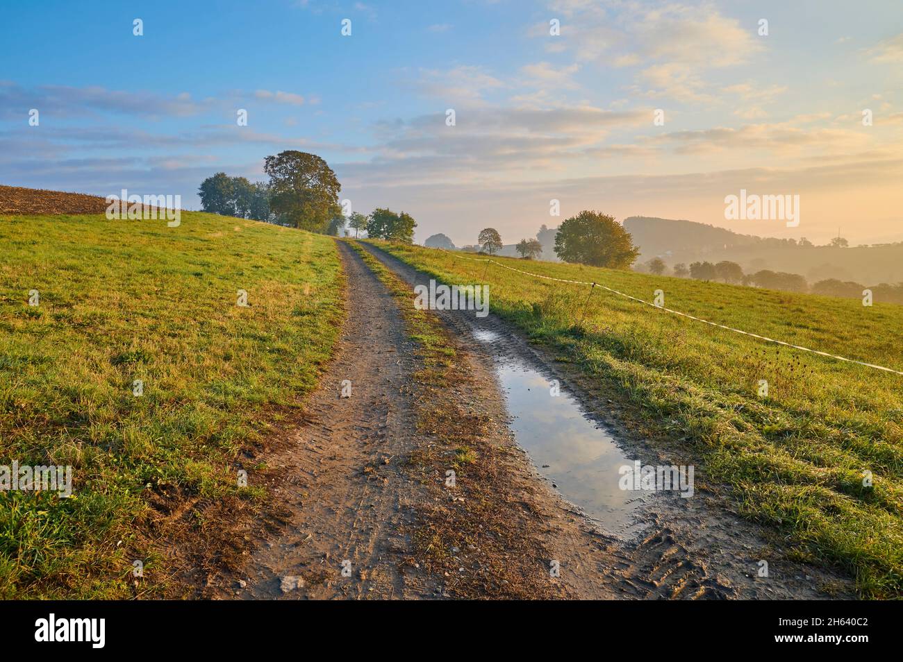 strada sterrata,paesaggio,albero,prato,alba,mattina,autunno,odenwald,winter box,assia,germania Foto Stock