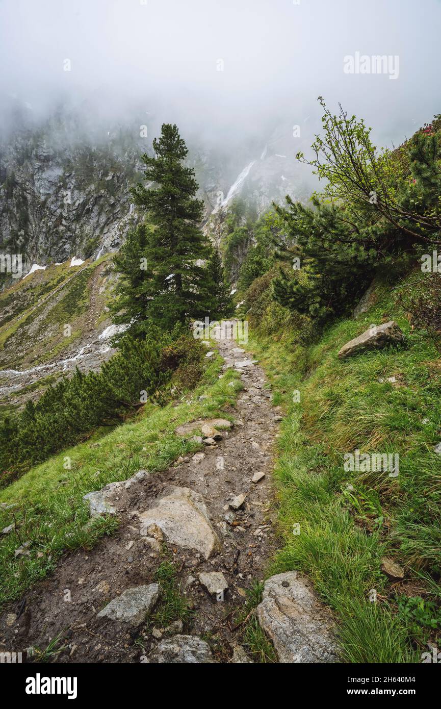 vista estiva della valle alpina con ruscello e lago glaciale. sulzenau alm, alpi stubai, austria. Foto Stock