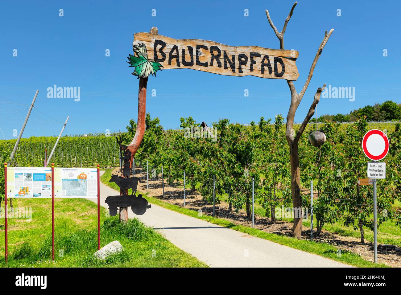 sentiero contadino, percorso didattico frutticolo e vinicolo, kressbronn, lago di costanza, baden-württemberg, germania Foto Stock