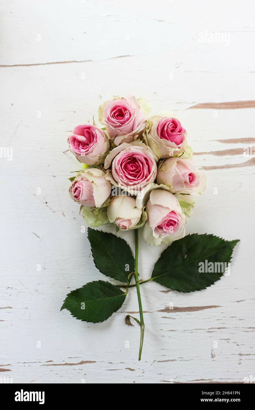 bouquet di fiori, fiori individuali formano un grande fiore Foto Stock