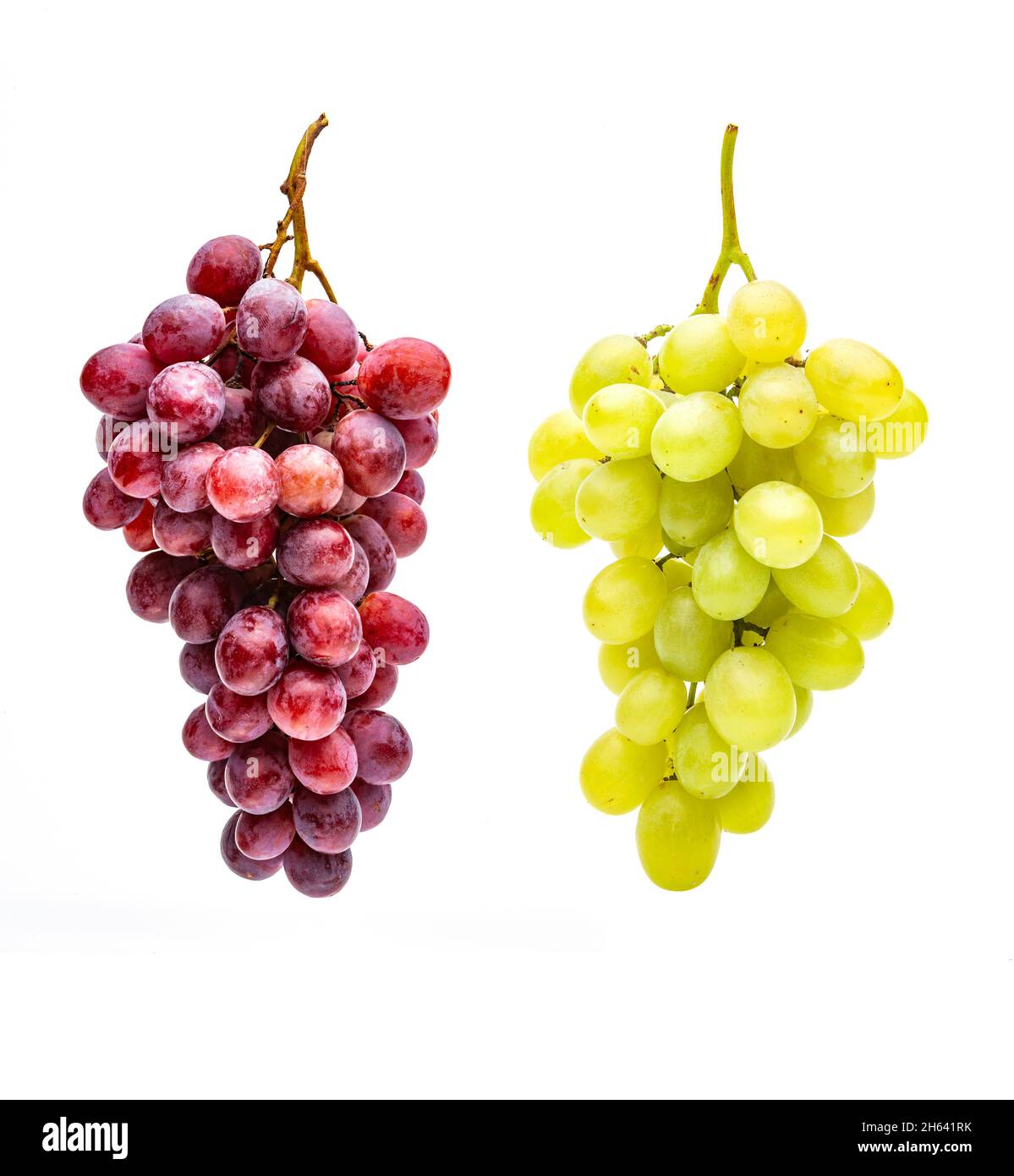 uva da vino rosso e uva da vino bianco su sfondo bianco Foto Stock