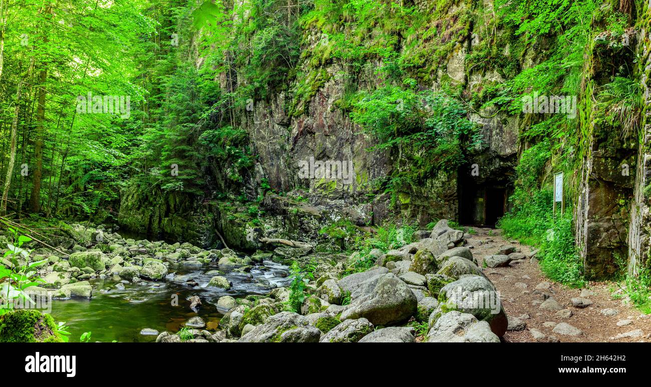 sentiero escursionistico sulla buchberger leite nella foresta bavarese Foto Stock