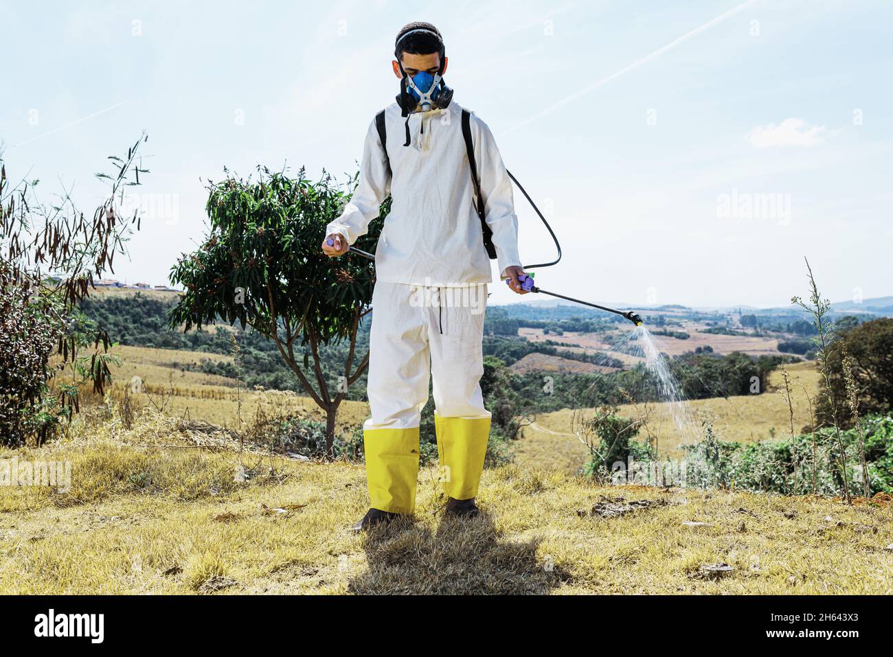 Uomo latino che indossa abiti appropriati e maschera protettiva spruzzando erbacce sul terreno Foto Stock