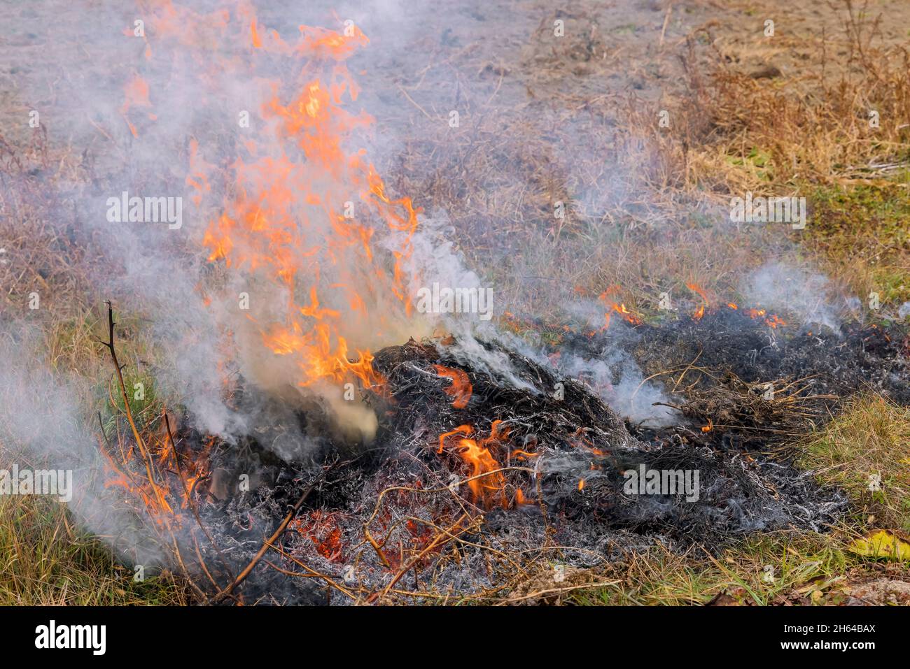 Wildfire sul campo dopo la raccolta brucia erba prato a causa arido cambiamento climatico caldo tempo e inquinamento ambientale Foto Stock