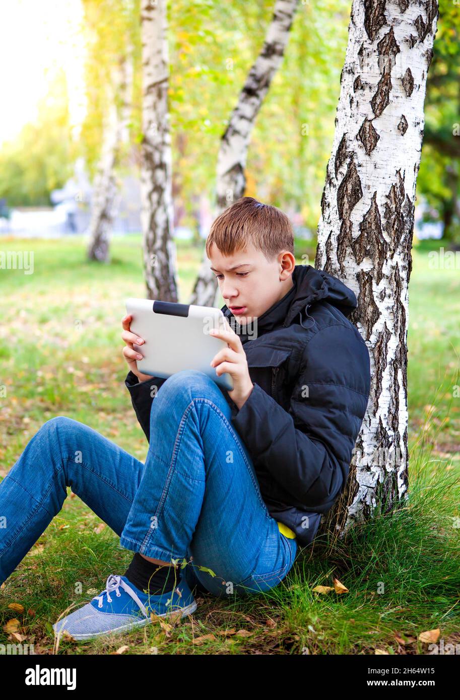 Adolescente pensivo con Tablet computer nel Parco d'autunno Foto Stock