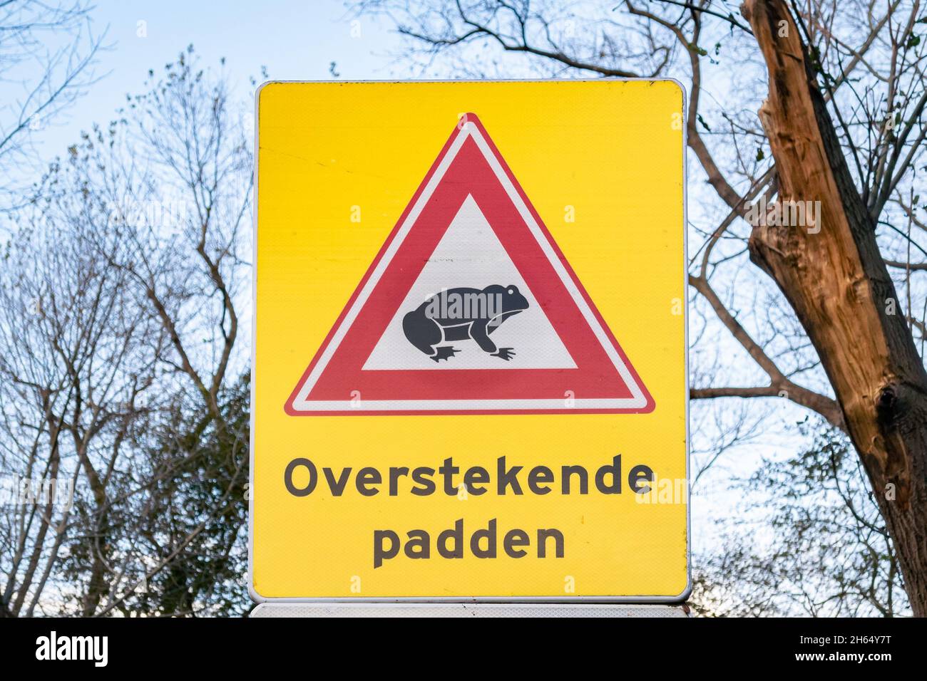 Cartello segnaletico contro i rospi che attraversano la strada (il testo 'Overstekende padden' significa attraversare i rospi in olandese). Foto Stock