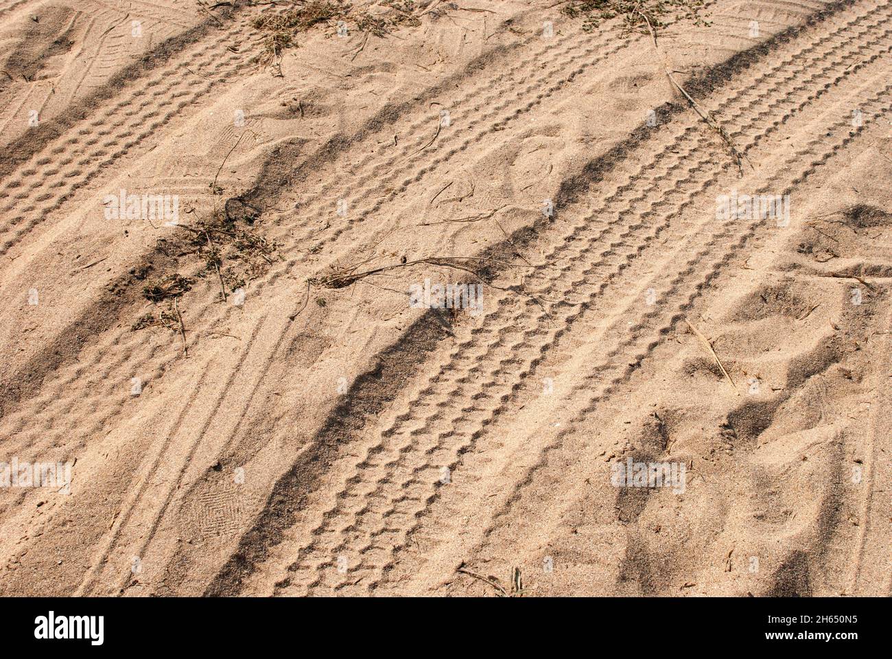 Piste per pneumatici in spiaggia Foto Stock