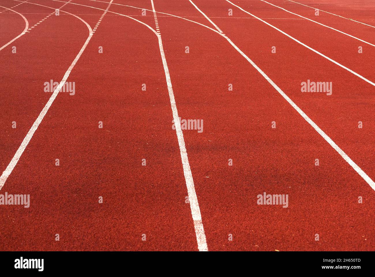 Pista atletica superficie rossa con linee bianche primo piano Foto Stock