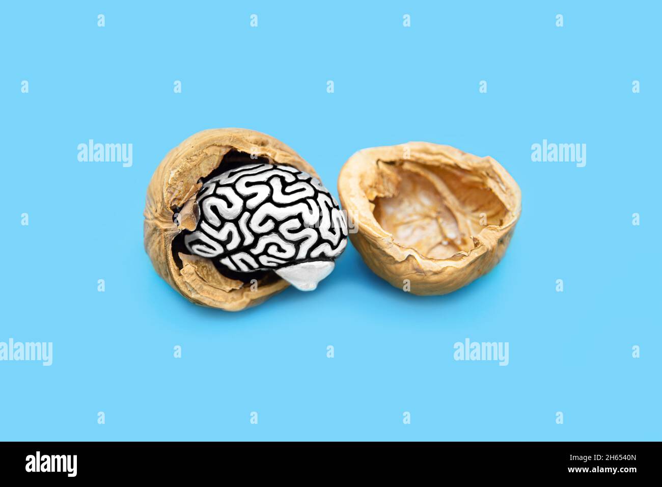 Copia in miniatura di un cervello umano in un guscio di noce isolato su sfondo blu. Concetto di cognizione e di salute del cervello. Foto Stock