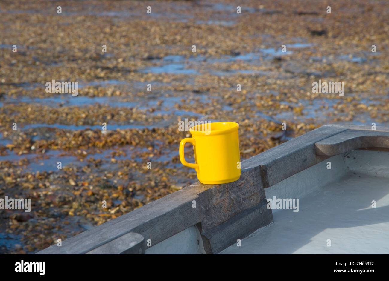 una tazza gialla in itchenor nel porto di chichester sussex ovest Foto Stock