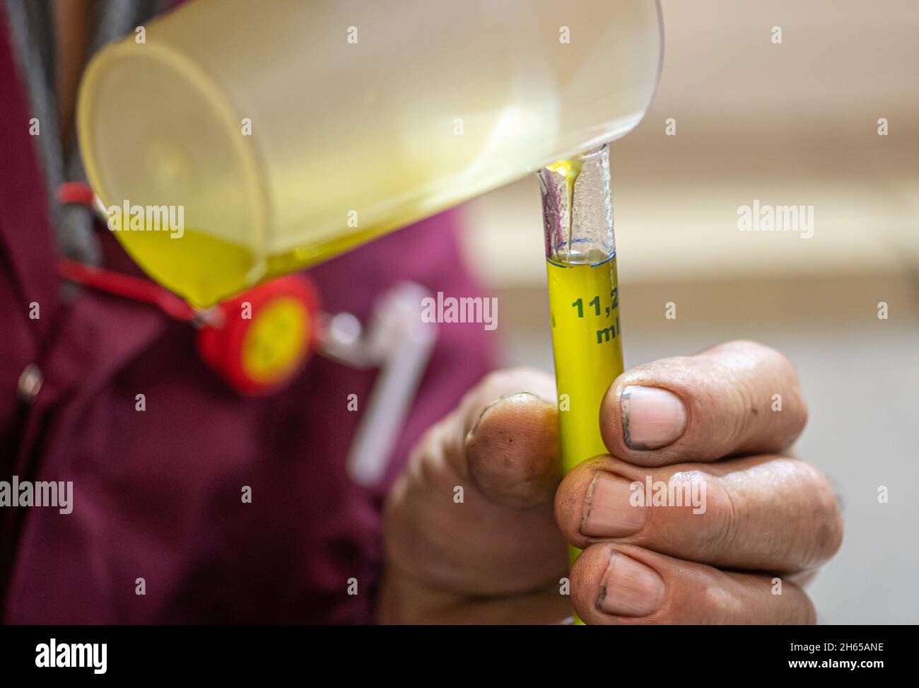 Produzione di olio extravergine di oliva ecologico con tecnologia moderna, estrazione e filtrazione, olio di oliva puro in una fiala di vetro Foto Stock