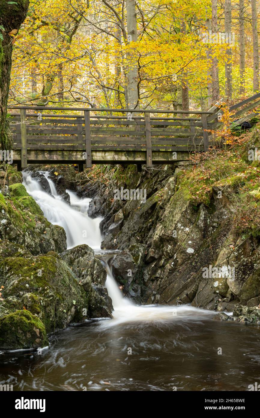 Cascata e passerella a Launchy Gill con colori autunnali, dove il fiume scorre nel bacino di Thirlmere, Lake District, Cumbria, Inghilterra, Regno Unito Foto Stock
