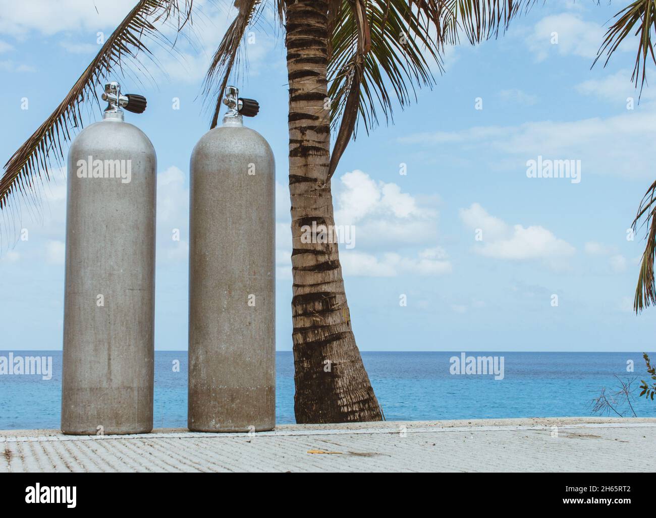 Due vasche per immersioni subacquee su strada con palme e oceano Foto Stock