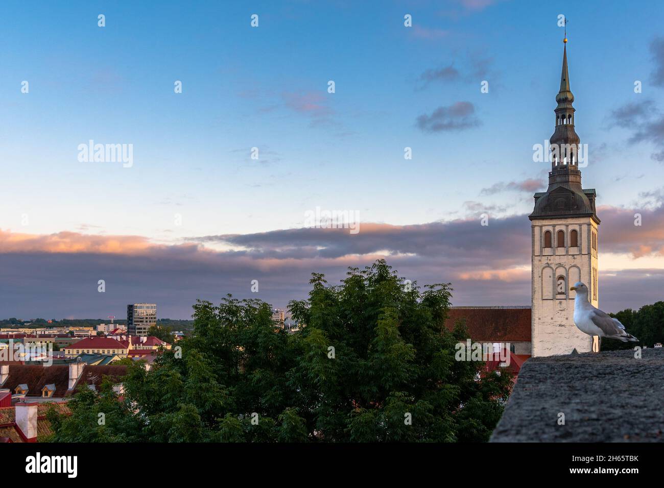 Tallinn la capitale dell'Estonia in serata Foto Stock