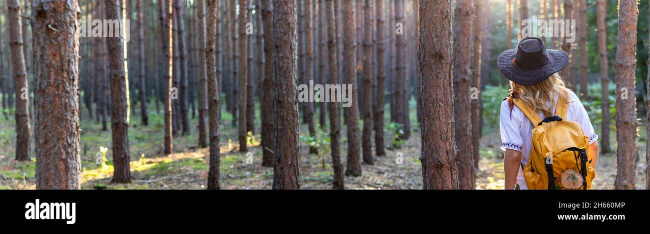 Vista panoramica della foresta e della donna escursionista con cappello e zaino. Concetto di viaggio. Donna zaino in piedi in legno di pino Foto Stock