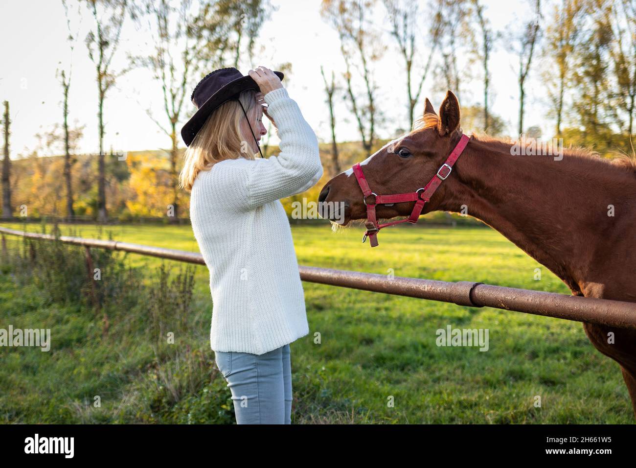 Cowgirl che gioca con il suo giovane cavallo in fattoria. Friedship tra persone e animali domestici. Curioso fallo e donna che indossa cappello cowboy e maglia swe Foto Stock