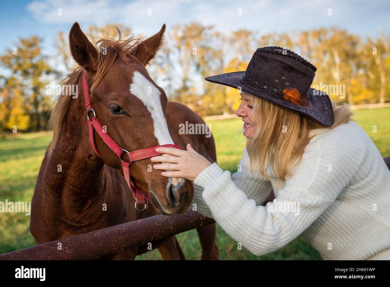 Donna che gioca con il suo giovane cavallo al pascolo. Cowgirl ama il suo nemico. Amicizia tra persone e animali domestici. Donna che indossa cappello e maglia da cowboy Foto Stock