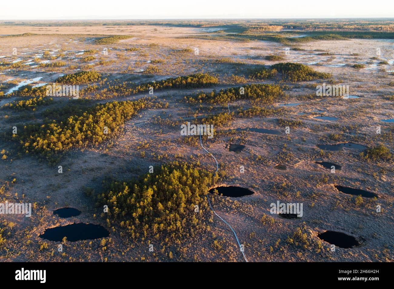 Una vista aerea dei laghi di palude scura e delle isole della foresta durante un'alba autunnale nella natura estone. Girato nel Parco Nazionale Soomaa Foto Stock