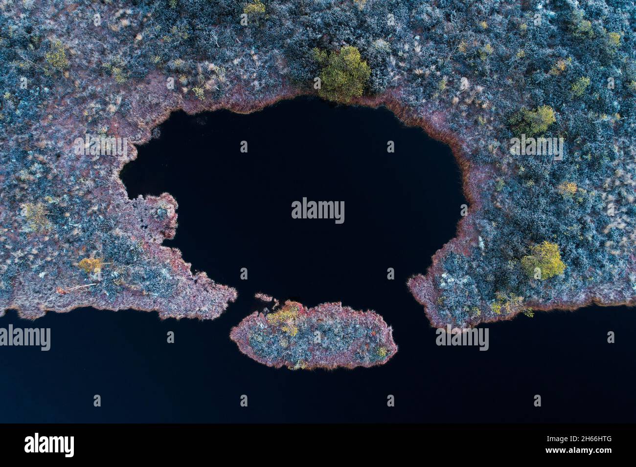 Piccolo lago di palude con le rive ghiacciate durante una mattina fredda nel Parco Nazionale Soomaa. Foto Stock