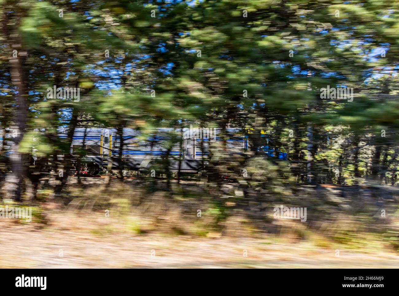 Il treno della ferrovia di Long Island si muove rapidamente attraverso il tratto di Napeague, Amagansett, NY Foto Stock