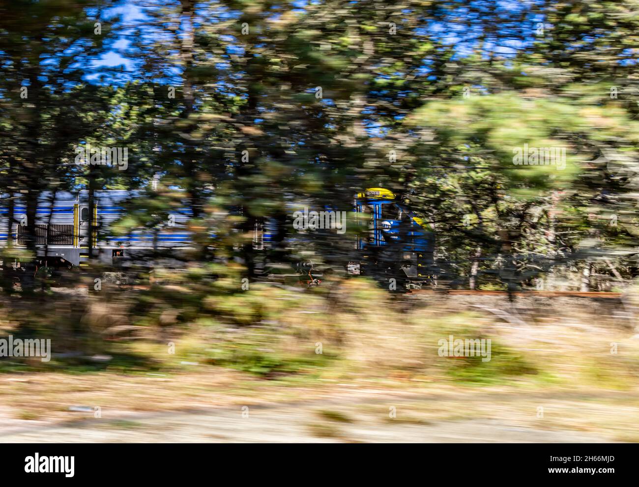 Il treno della ferrovia di Long Island si muove rapidamente attraverso il tratto di Napeague, Amagansett, NY Foto Stock