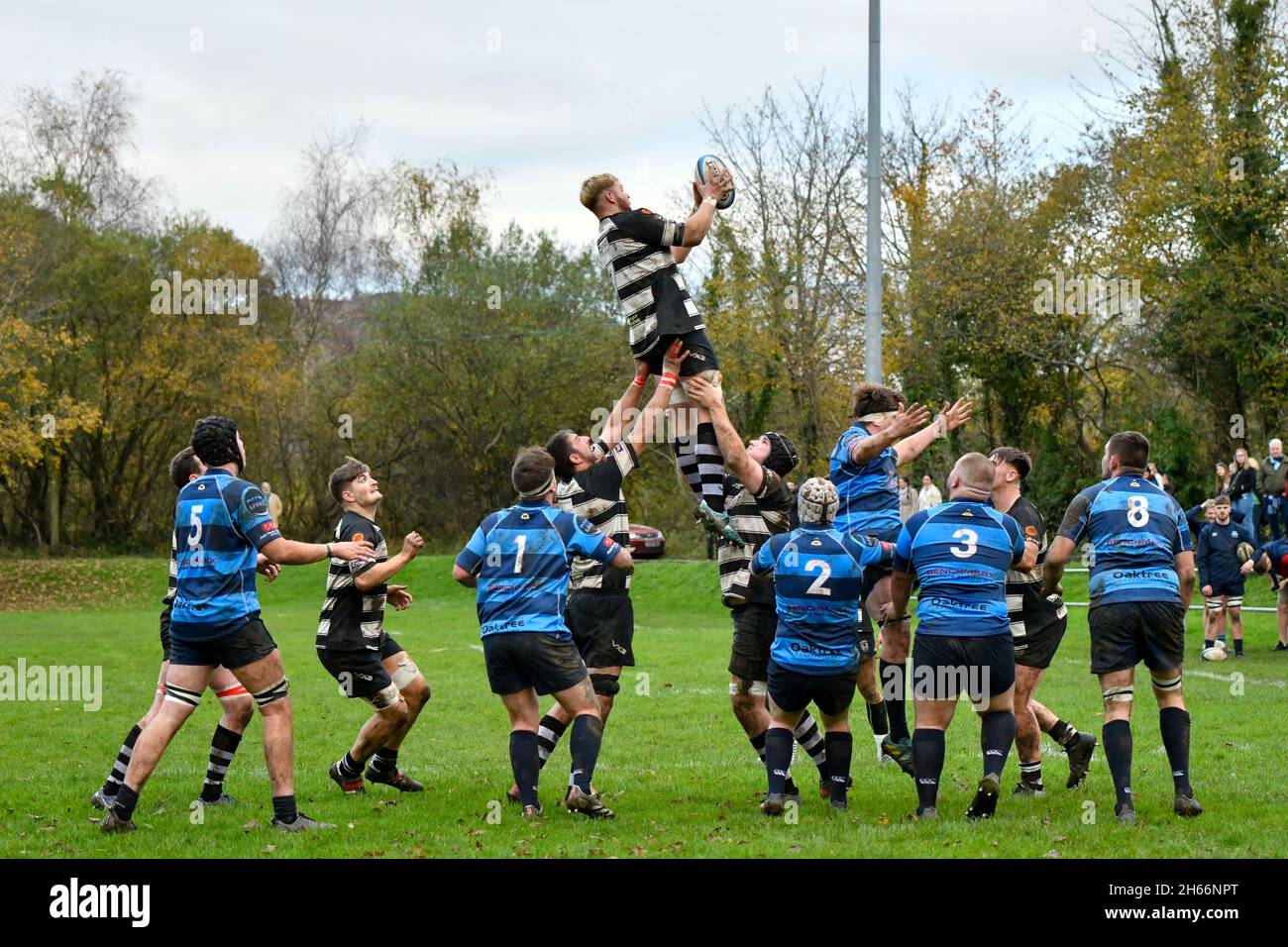 Trebanos, Galles. 13 novembre 2021. Chris Johnsey di Cross Keys RFC vince una fila durante la partita del WRU Admiral National Championship tra Trebanos e Cross Keys al Trebanos Park di Trebanos, Galles, Regno Unito, il 13 novembre 2021. Credit: Duncan Thomas/Majestic Media/Alamy Live News. Foto Stock