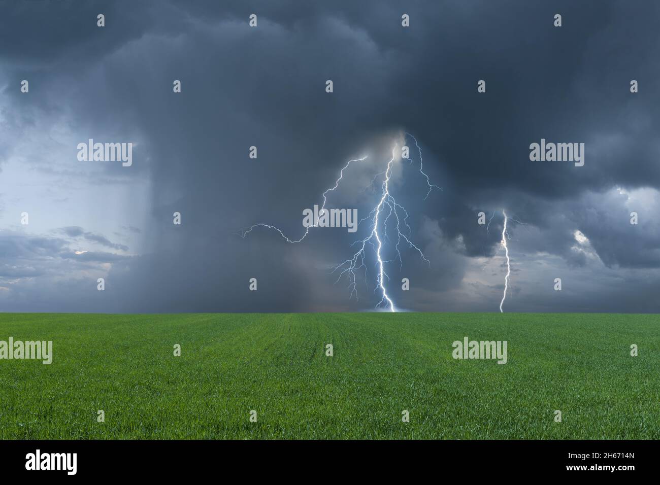 Paesaggio estivo con campo verde e tempesta di tuore, fulmini e maestose nuvole Foto Stock