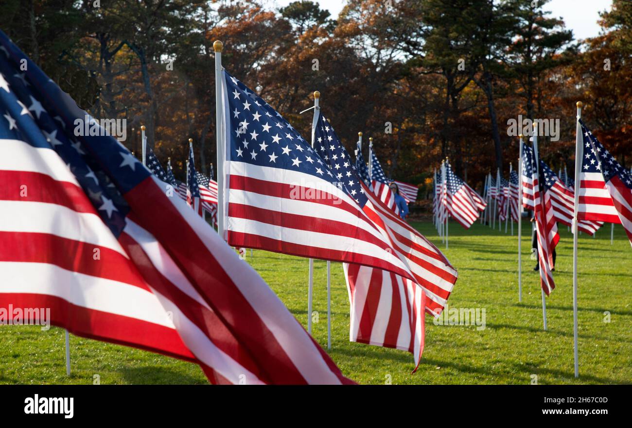 Dennis (Cape Cod, Massachusetts), campo d'onore. Un giorno dei Veterans salutano coloro che hanno servito. 400 US bandiere sponsorizzate essere individui in memoria o Foto Stock