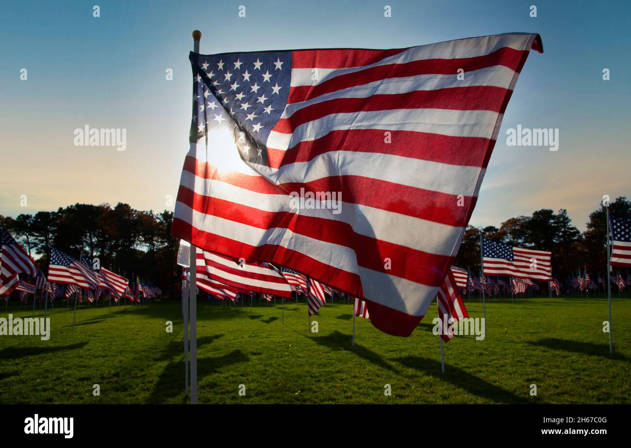 Dennis (Cape Cod, Massachusetts), campo d'onore. Un giorno dei Veterans salutano coloro che hanno servito. 400 US bandiere sponsorizzate essere individui in memoria o Foto Stock