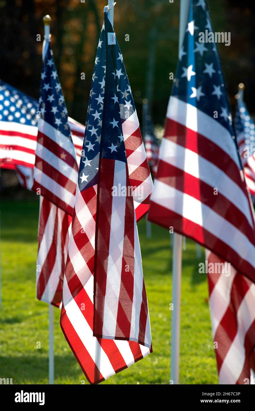 Dennis (Cape Cod, Massachusetts), campo d'onore. Un giorno dei Veterans salutano coloro che hanno servito. 400 bandiere statunitensi sponsorizzate sono individui che hanno servito. Foto Stock