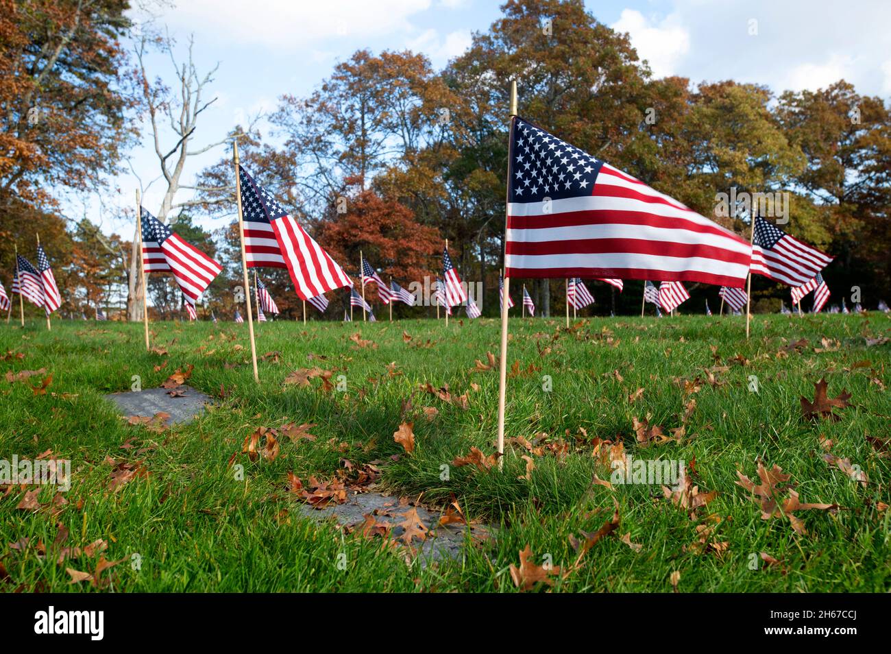 Veterans Day Flags su ogni tomba al Massachusetts National Cemetary a Bourne, Massachusetts a Cape Cod, USA Foto Stock
