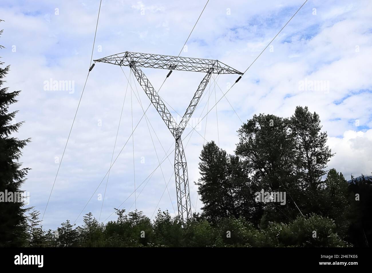 Le linee elettriche giganti sovrastano gli alberi in estate Foto Stock