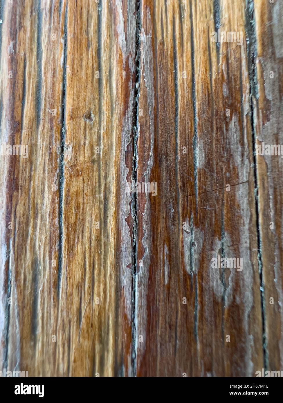 Vecchia texture legno invecchiato di veneed Foto Stock
