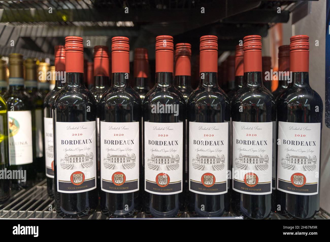 Fila di Bordeaux in gabinetto del vino Inghilterra UK Foto Stock
