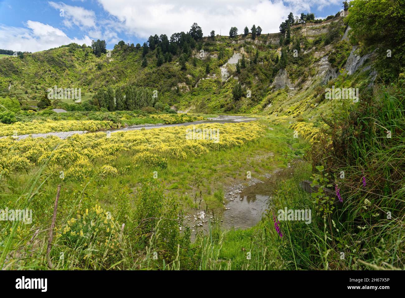Manuwautu Scenic Route attraverso la gola del fiume Oroua nell'Isola del Nord della Nuova Zelanda Foto Stock