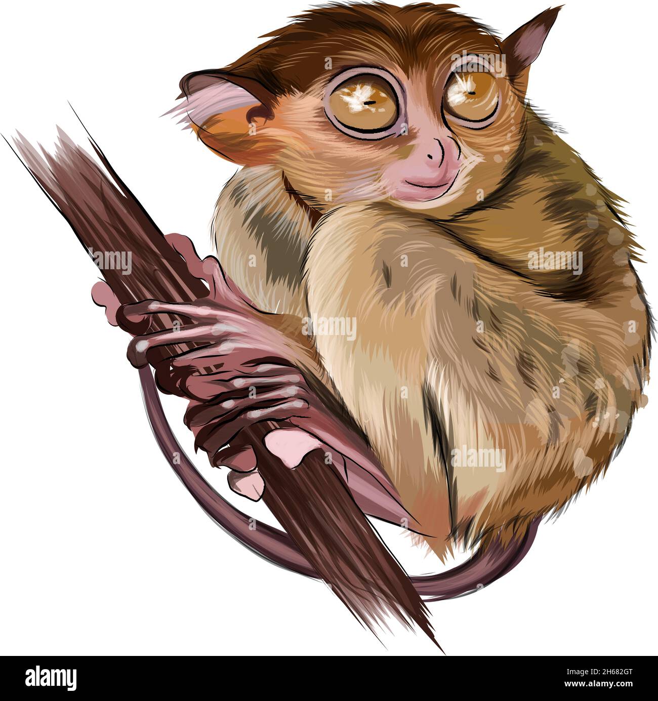 Lemur tarsier seduto su un ramo da pitture multicolore. Spruzzi di acquerello, disegno colorato, realistico. Illustrazione vettoriale di vernici Illustrazione Vettoriale