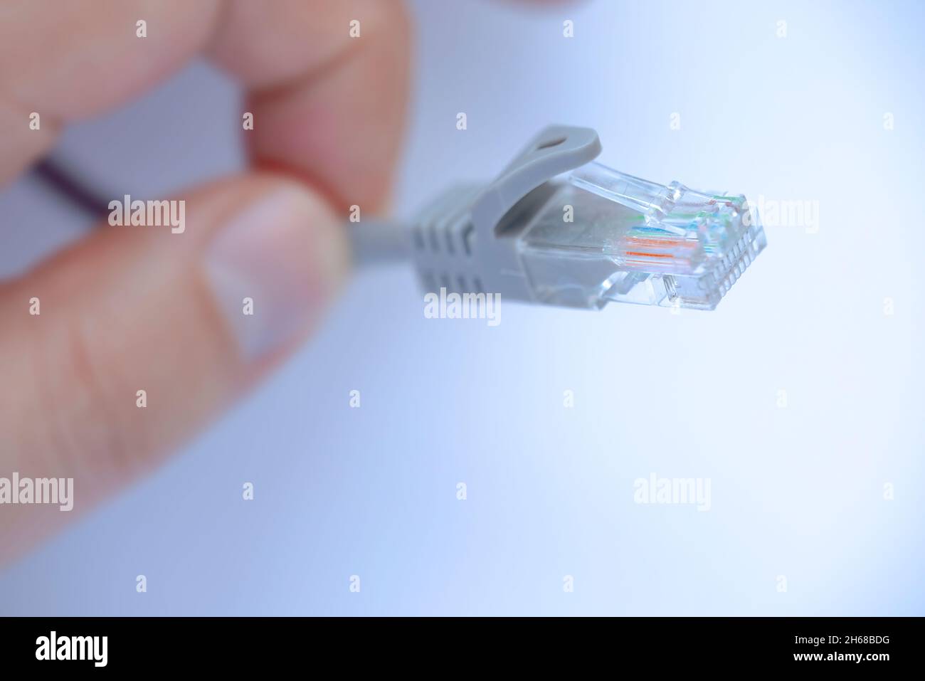 Una persona che tiene un cavo Internet patch Ethernet per reti cablate di casa e ufficio Foto Stock