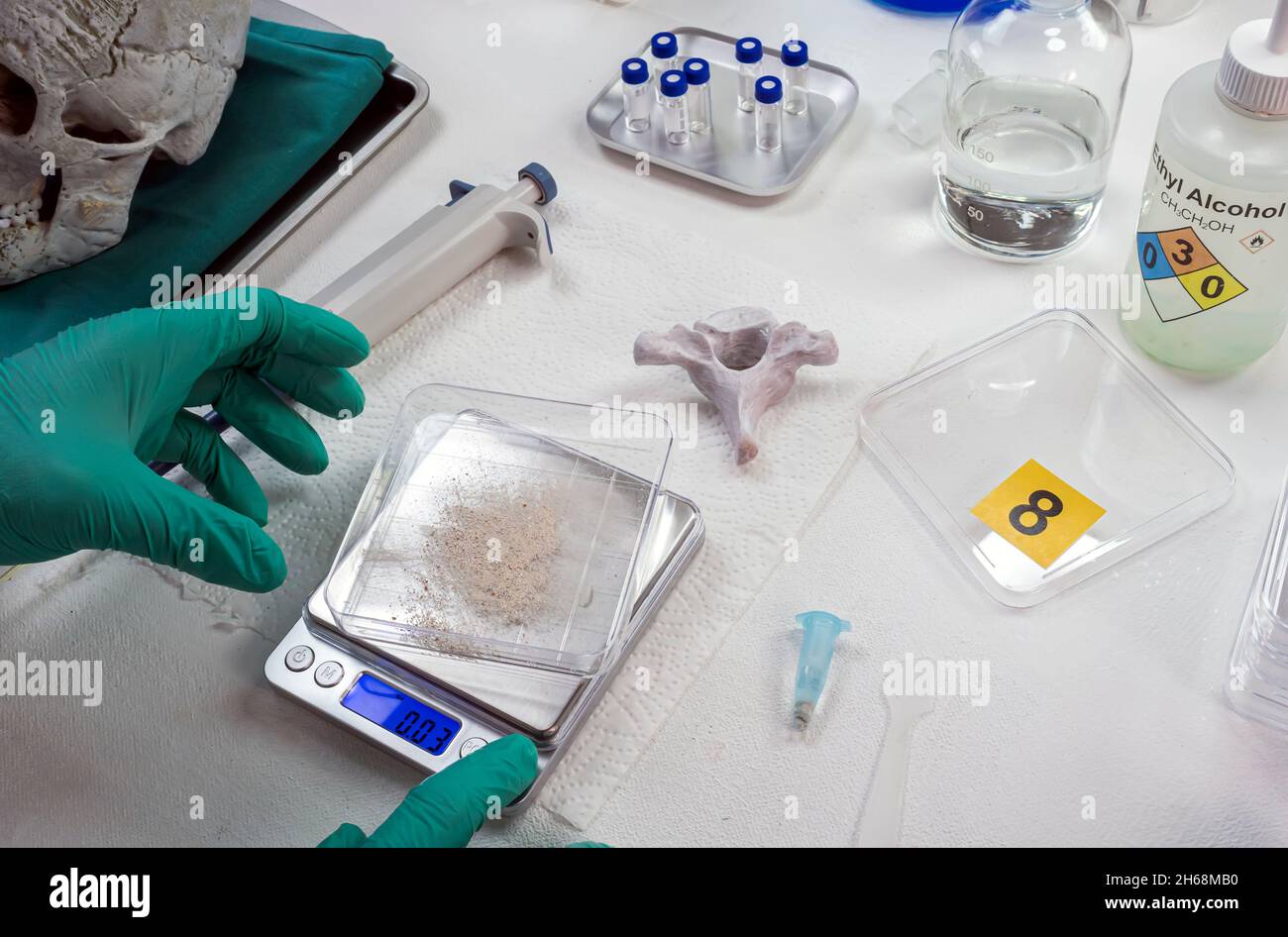 La polizia criminale pesa campione di polvere ossea umana su scala elettronica per l'analisi del DNA, immagine concettuale Foto Stock